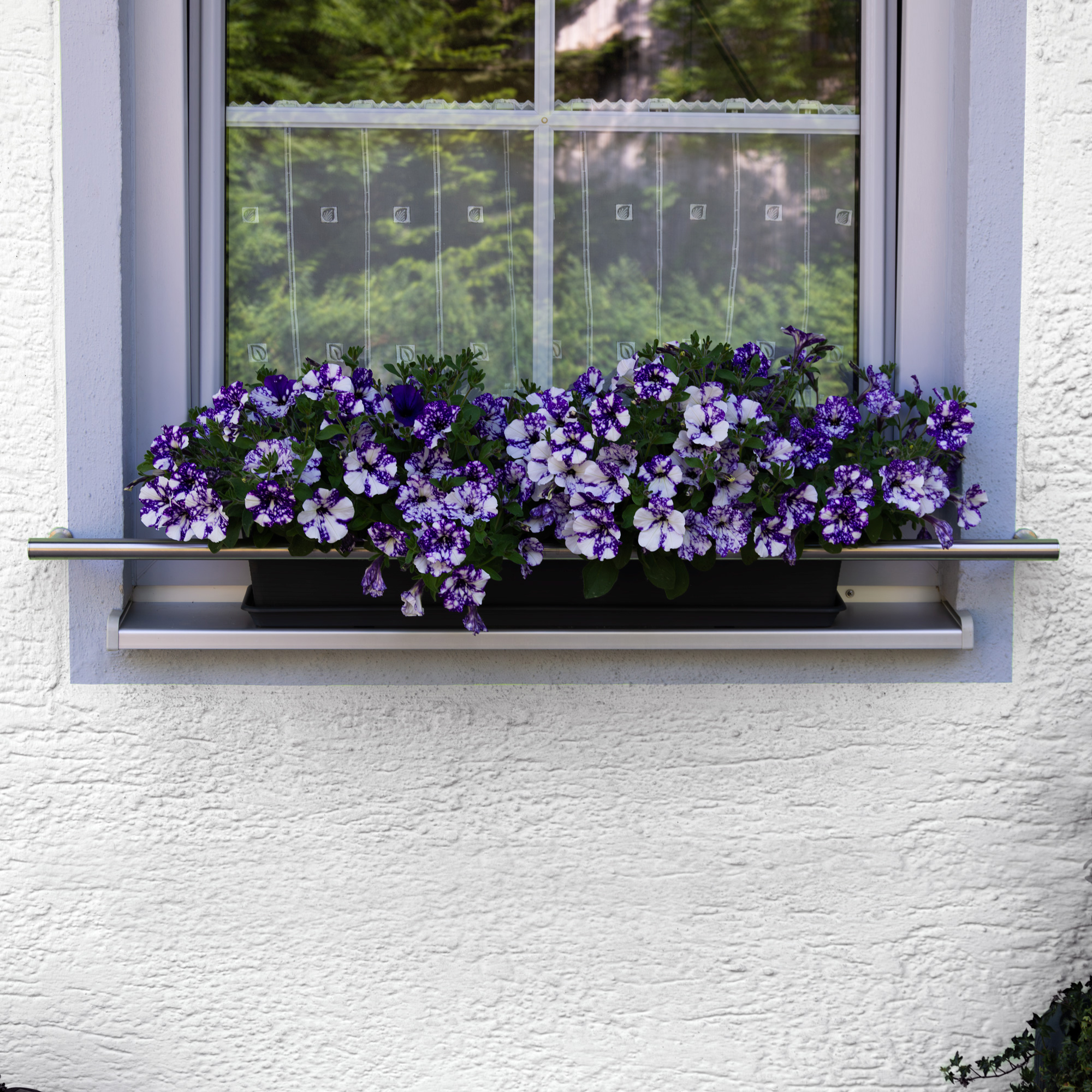 Blumenkastenhalterung Edelstahl für Fensterbank Edelstahl für Fensterbank